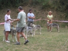 Nejlep chovatelsk skupina Stn vlka (Jeviovice 2006)