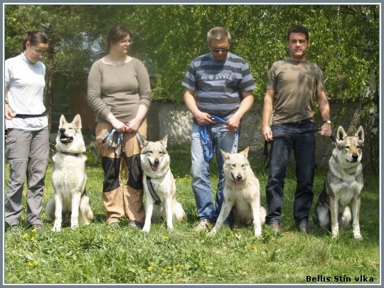 Baziliek, Bellis, Bonie, Argos