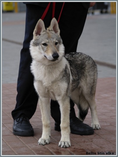 Calamity Jane z Bezovsk samoty