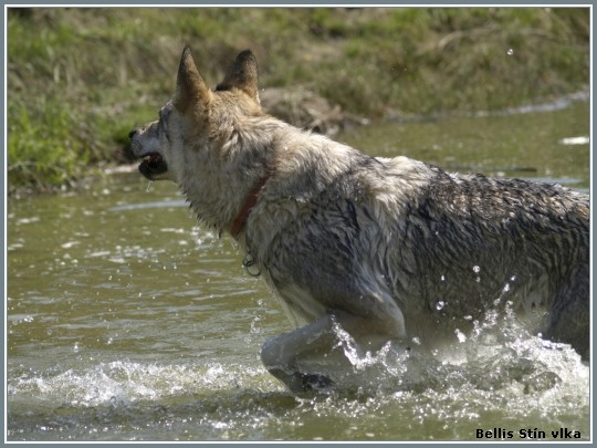 Myslejovice 2007